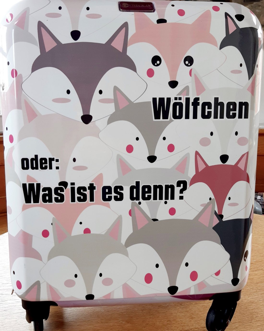 Bücherkoffer Wölfchen